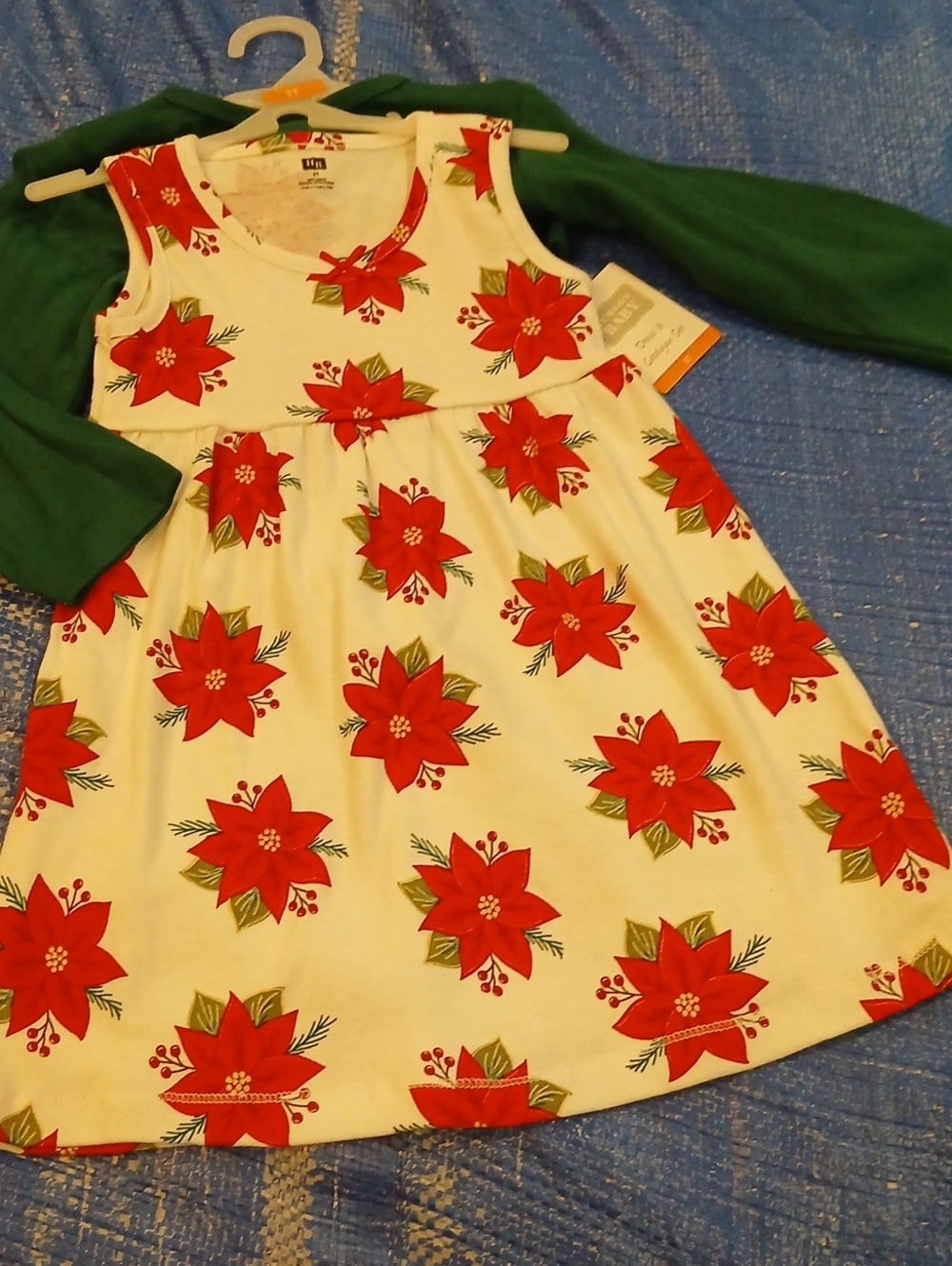 Hudson Baby White Dress with Red Poinsettia Print and Green Layering Top